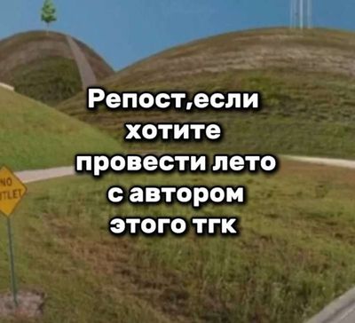 Post media