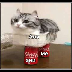 Аня Ме avatar