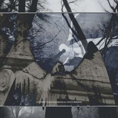BLOODY—M. avatar