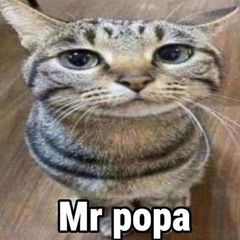оник майский avatar