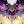 Finx Confession 🐈⏳ avatar