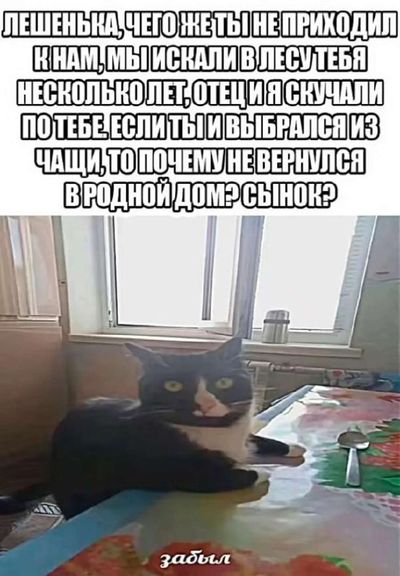 Post media