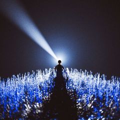 psyho avatar