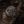 COINS SMP avatar