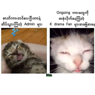 Post media