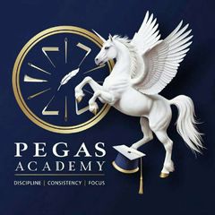 🔵 Pegas Academy ®📚🎓🚀 ፔጋስ አካዳሚ ™ avatar