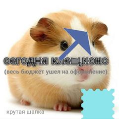 [НАБИРАЕМ АУДИТОРИЮ] СEГОДНR CONFESSIONS 📒 avatar