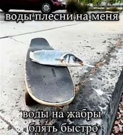 Post media