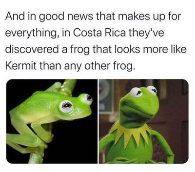 Post media