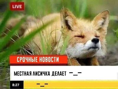 Post media
