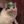 𝐀𝐒𝐓𝐀 𝐌𝐞𝐫𝐨𝐩𝐫𝐢𝐲𝐚𝐭𝐢𝐞 1 avatar