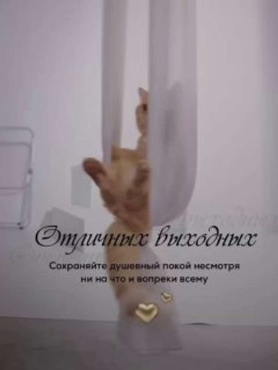 Post media