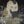 F𝐢𝐧𝐚𝐥 P𝐨𝐢𝐧𝐭 avatar