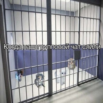 Post media