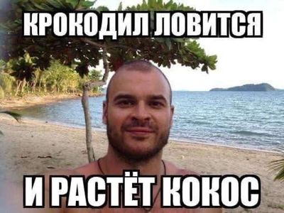 Post media