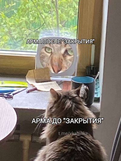 Post media
