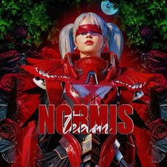 Normis Team avatar