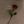 - هُـدوء . avatar