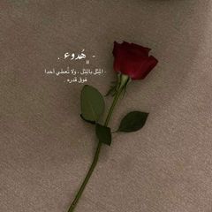 - هُـدوء . avatar