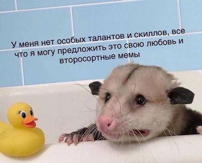 Post media