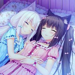 |🎀|Котики confession!! avatar