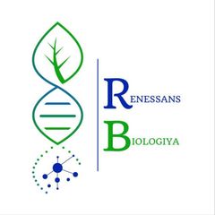 Axmatov Sardor | BIOLOGY avatar