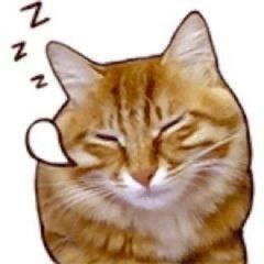 ᅠᅠsashainnit info avatar