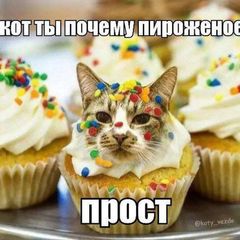 PICs (пикчи) confessions КАРТИНКИ КФ ((=3)) avatar