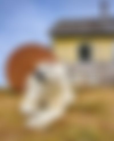Post media background
