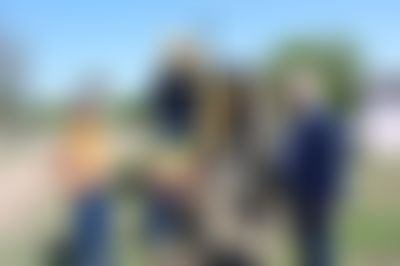 Post media background