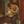 history ship confession avatar