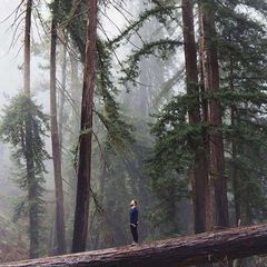 Amazing Nature Videos avatar