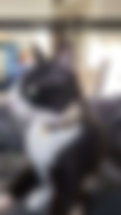 Post media background