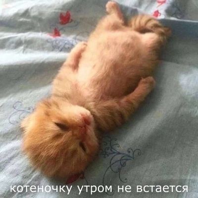 Post media
