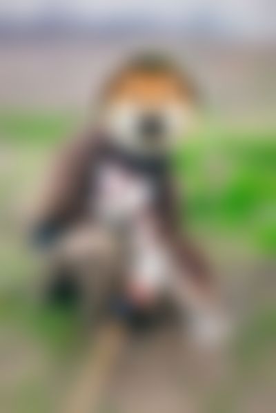Post media background