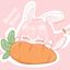 ⤿˙ bunny bites,🥕. ◌ Avatar