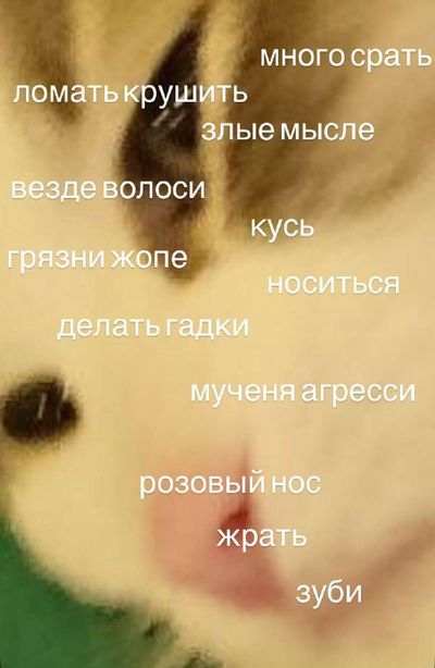 Post media