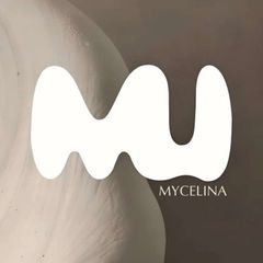 MYCELINA avatar
