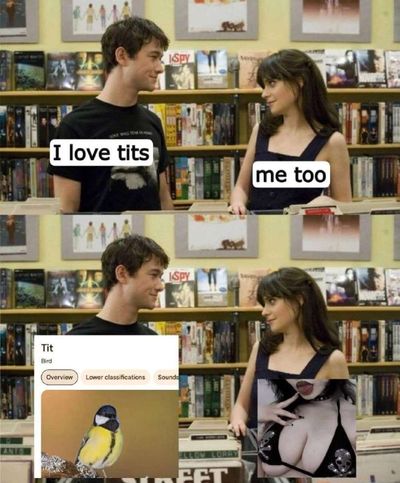 Post media