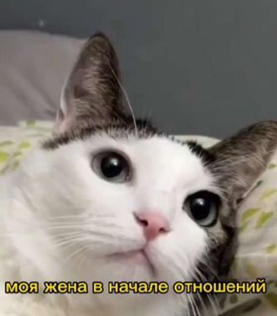 Post media
