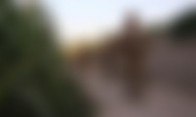 Post media background