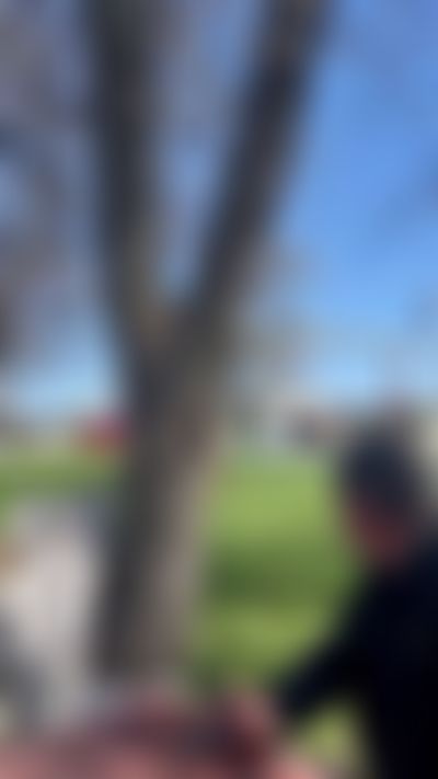 Post media background