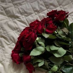 "ݺ،أَوْتَارُ،الْقَلْبِ♥️" avatar
