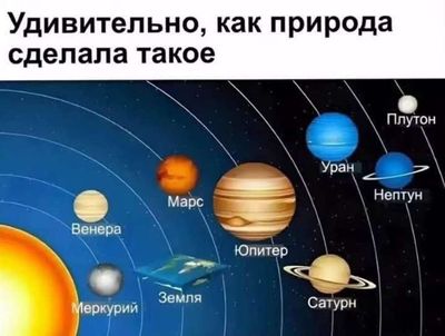 Post media