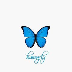 كوزمتك مورفو avatar