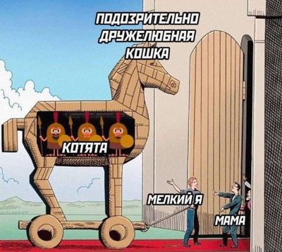 Post media