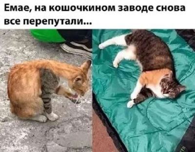 Post media