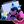 [🎵🔺] 🪻 Pink Corruption Confession 🌱🌺 avatar