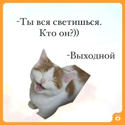 Post media