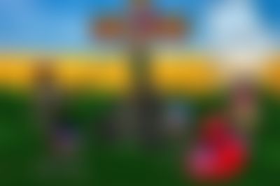 Post media background